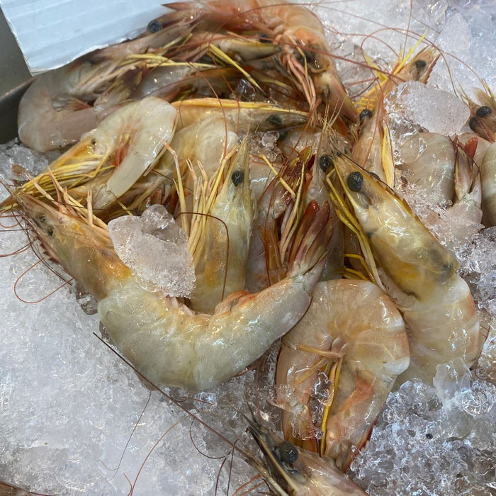 Fresh Ang Kar Prawns