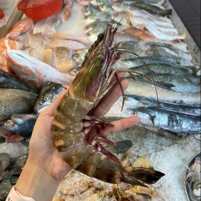 Giant Tiger Prawns