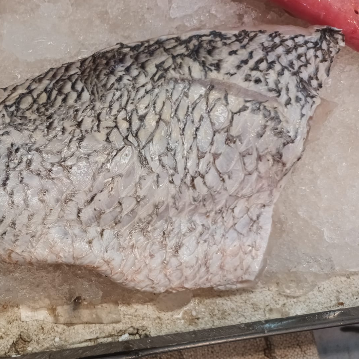 Fresh Golden Snapper Fillet 红鲷肉 (250g-300g)