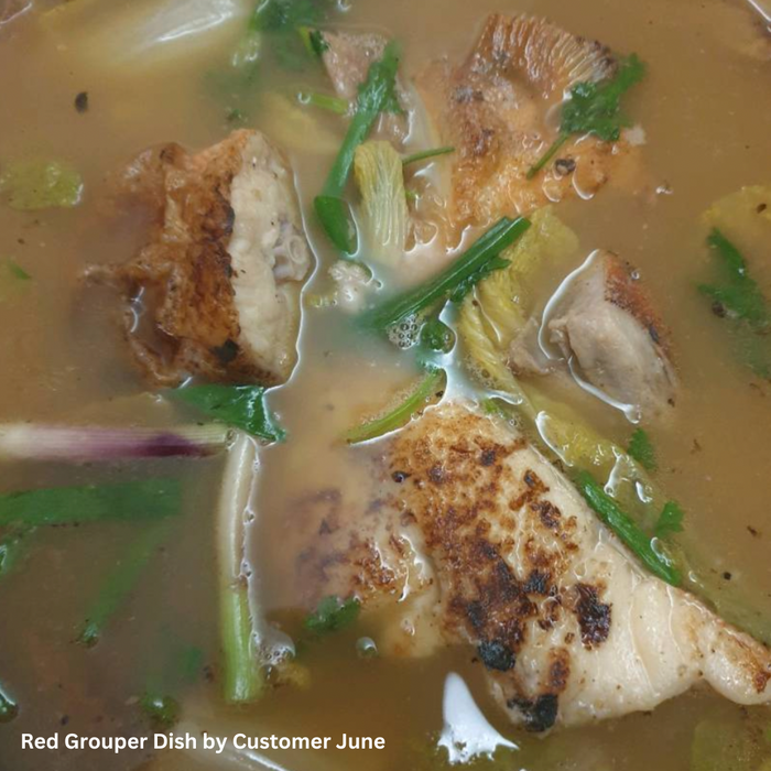 Red Grouper Soup