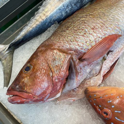 Raw Golden Snapper on Ice