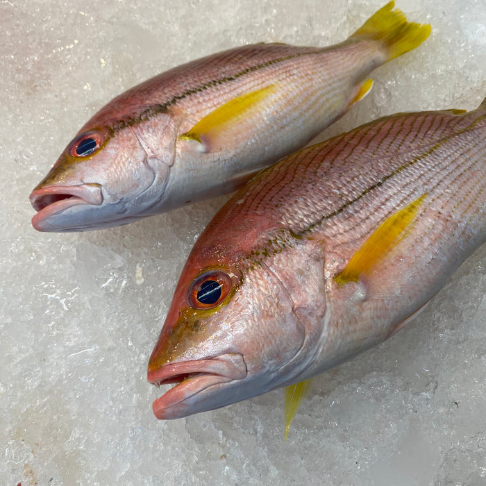 A Pair Of Fresh Kee Fishes On Ice