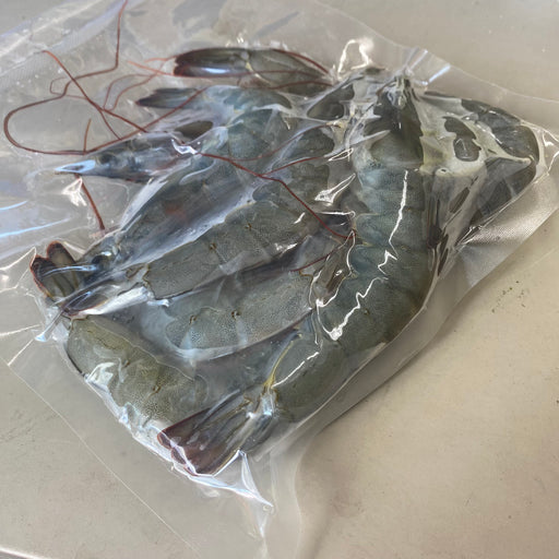 Vacuum Packed Fresh Grey Prawns