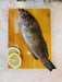 Fresh Whole Grey Grouper Fish on Ice