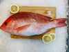 Fresh Red Snapper On Board