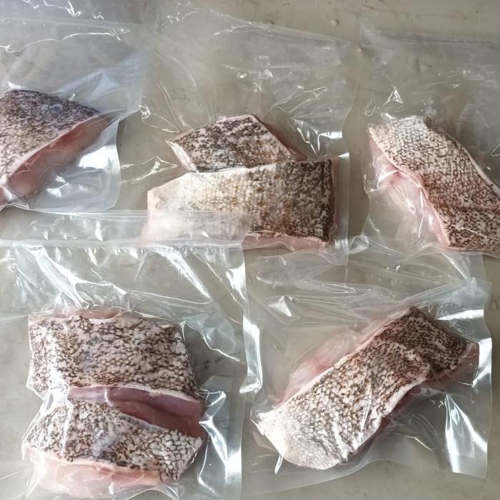 Vacuum Packed Grouper Fillets