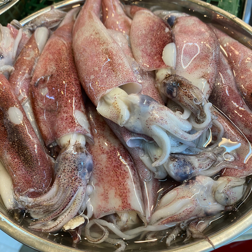 A Plate Of Fresh Sotong Squids