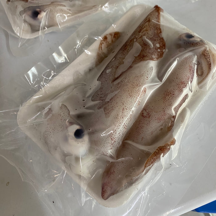 Vacuum Packed Sotong Squid