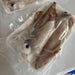 Vacuum Packed Sotong Squid